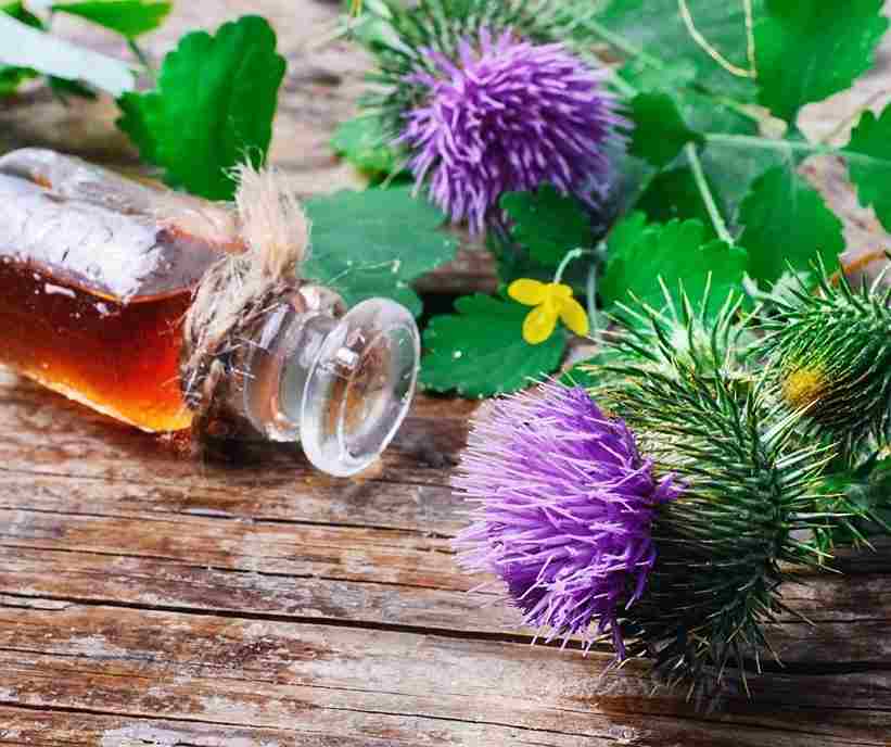 تصویر 2 از عرق خار مریم برای رحم با حفظ ویژگی های طبیعی گیاه